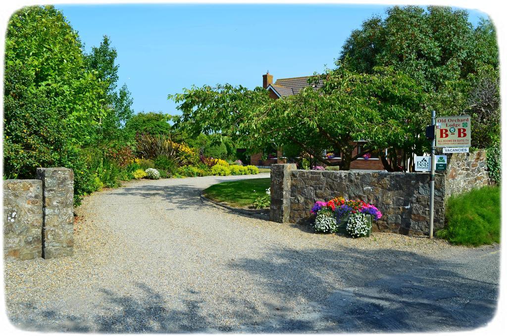 Old Orchard Lodge B&B Rosslare Harbour Exteriér fotografie
